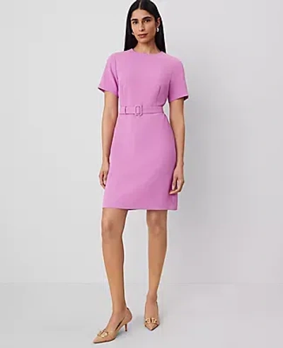 Ann Taylor Belted Sheath Dress In Orchid Glow