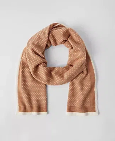 Ann Taylor Birdseye Scarf In Cafe Au Lait