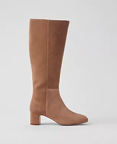 Ann Taylor Block Heel Suede Boot In Smoky Taupe