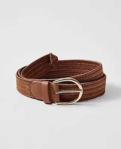 Ann Taylor Braided Belt In Brown
