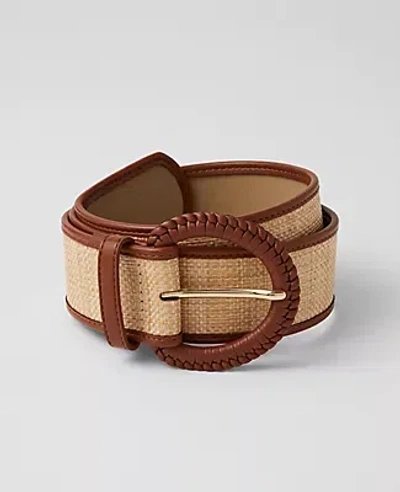 Ann Taylor Braided Trim Straw Belt In Midnight Mahogany