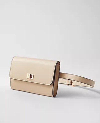 Ann Taylor Buckle Leather Belt Bag In Pearl Shadow