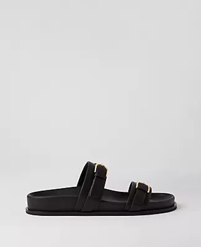 Ann Taylor Buckle Leather Sandals In Black