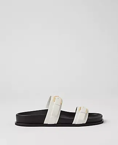 Ann Taylor Buckle Leather Sandals In Winter White