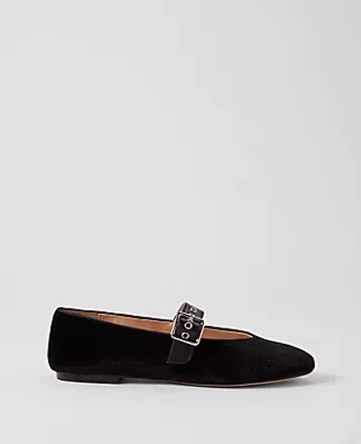 Ann Taylor Buckle Mary Jane Velvet Flat In Black