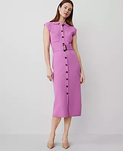 Ann Taylor Button Sweater Sheath Dress In Orchid Glow