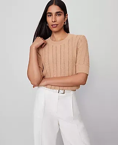Ann Taylor Cable Wedge Sweater Tee In Brown
