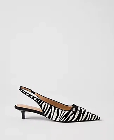 Ann Taylor Calf Hair Kitten Heel Pump In Black