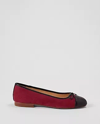 Ann Taylor Cap Toe Suede Ballet Flat In Rich Mulberry