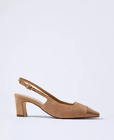Ann Taylor Cap Toe Suede Slingback Pumps In Brown
