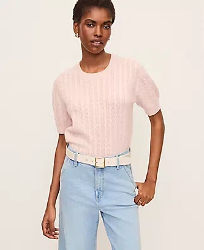 Ann Taylor Cashmere Mixed Pointelle Wedge Tee