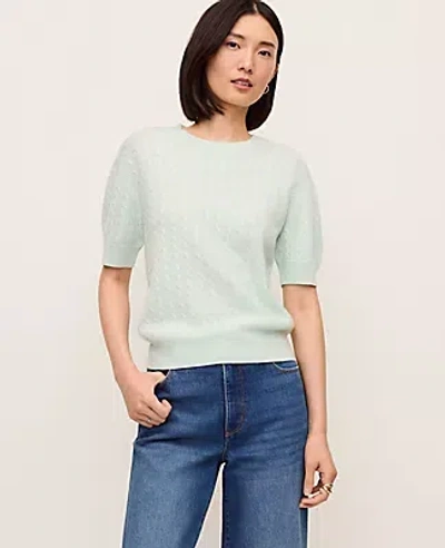Ann Taylor Cashmere Mixed Pointelle Wedge Tee In Blue