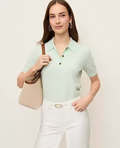 Ann Taylor Cashmere Polo Sweater In Blue