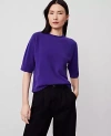 Ann Taylor Cashmere Roll Neck Sweater Tee In Midnight Grape