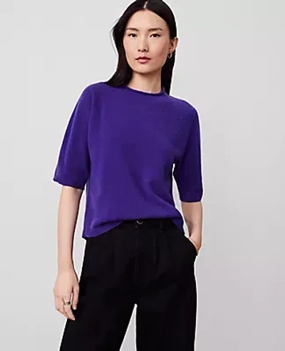 Ann Taylor Cashmere Roll Neck Sweater Tee In Midnight Grape