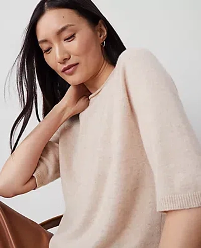Ann Taylor Cashmere Roll Neck Sweater Tee In Pale Oatmeal Heather
