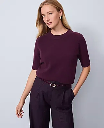 Ann Taylor Cashmere Sweater Tee