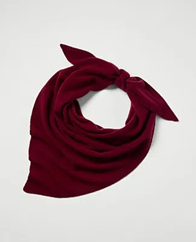 Ann Taylor Cashmere Triangle Scarf In Brown