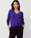Ann Taylor Cashmere V-neck Sweater In Midnight Grape