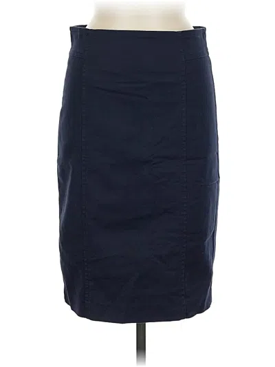 Pre-owned Ann Taylor Casual Skirt In Blue
