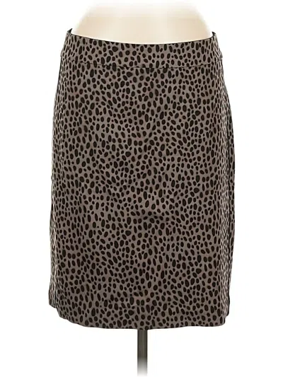 Pre-owned Ann Taylor Casual Skirt In Brown