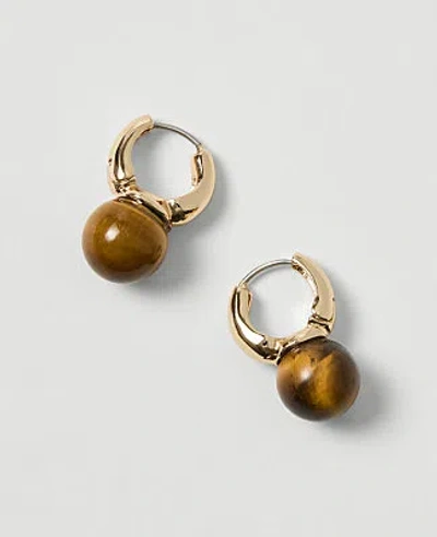 Ann Taylor Cat Eye Stone Hoop Earrings In Goldtone