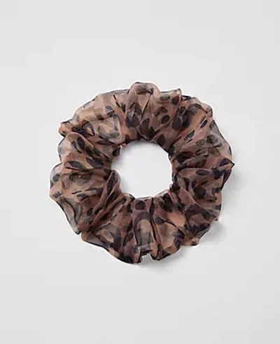 Ann Taylor Cheetah Scrunchie
