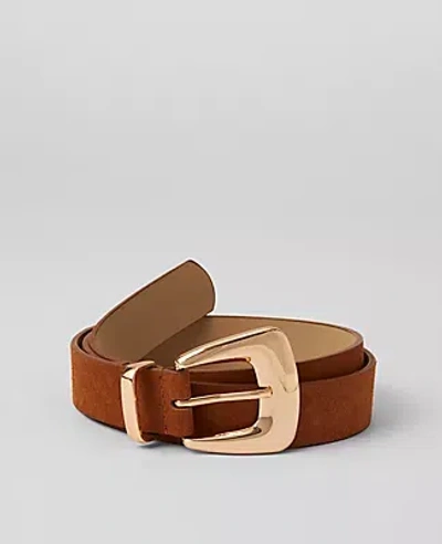 Ann Taylor Chunky Buckle Suede Belt In Milk Chocolate Brown