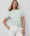 Ann Taylor Chunky Wedge Sweater Tee In Herbal Green