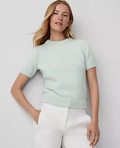 Ann Taylor Chunky Wedge Sweater Tee In Herbal Green