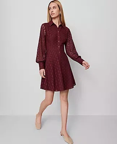 Ann Taylor Collared Flare Shirtdress In Burgundy