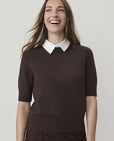 Ann Taylor Collared Mixed Media Sweater Tee In French Mocha