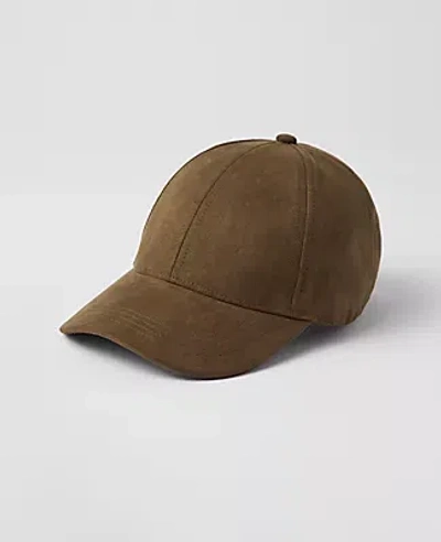 Ann Taylor Colorblock Baseball Cap In Dried Cilantro