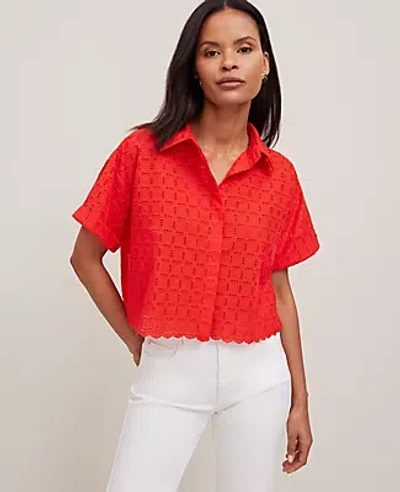 Ann Taylor Cotton Eyelet Shirt