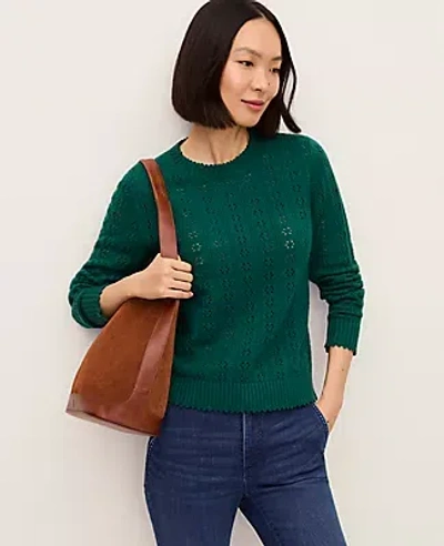 Ann Taylor Cozy Pointelle Sweater In Green