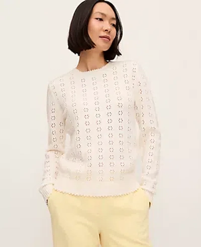 Ann Taylor Cozy Pointelle Sweater In Neutral