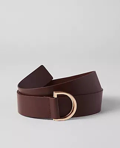 Ann Taylor D-ring Belt In Brown