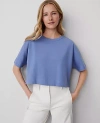Ann Taylor Dolman Tee In Colony Blue