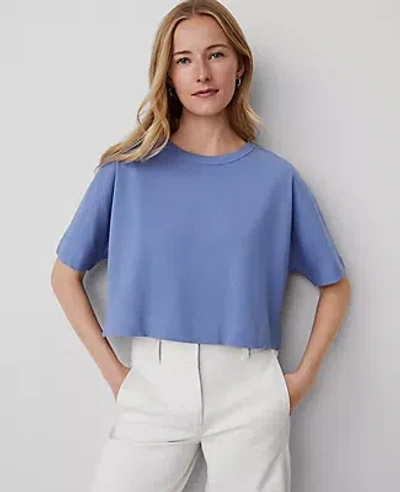 Ann Taylor Dolman Tee In Colony Blue