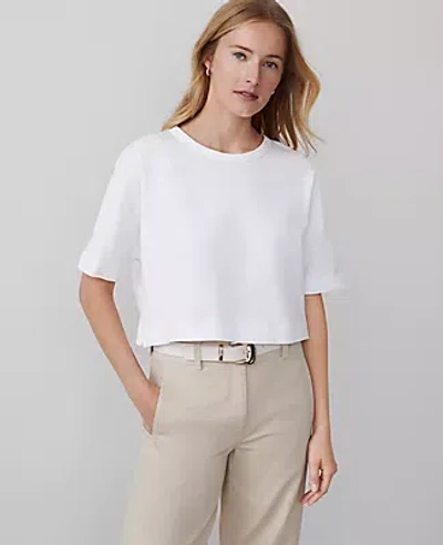 Ann Taylor Dolman Tee In White