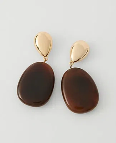 Ann Taylor Double Stone Drop Earrings In Brown