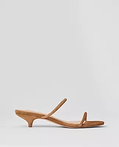 Ann Taylor Double Strap Suede Kitten Heel Mule Sandals In Dark Taupe