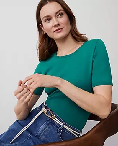 Ann Taylor Easy Sweater Tee In Shady Glade
