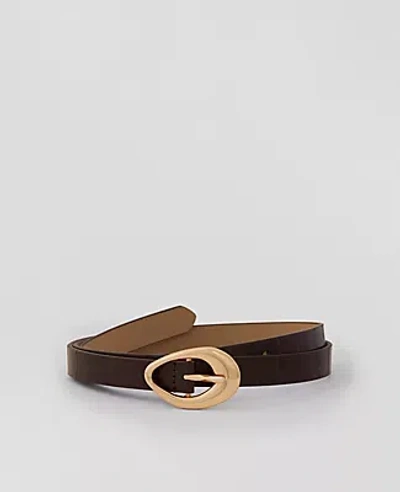 Ann Taylor Embossed Textured Buckle Belt In Pure Chocolate