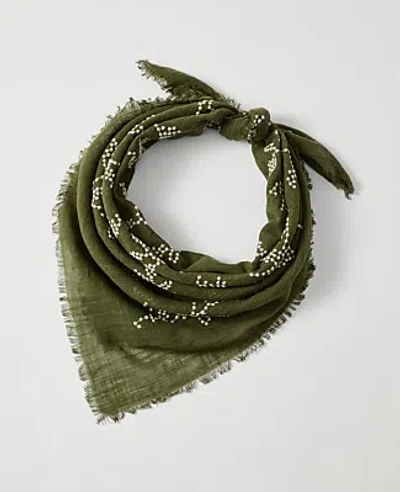 Ann Taylor Embroidered Scarf In Green