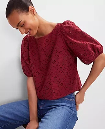 Ann Taylor Eyelet Boatneck Popover Top