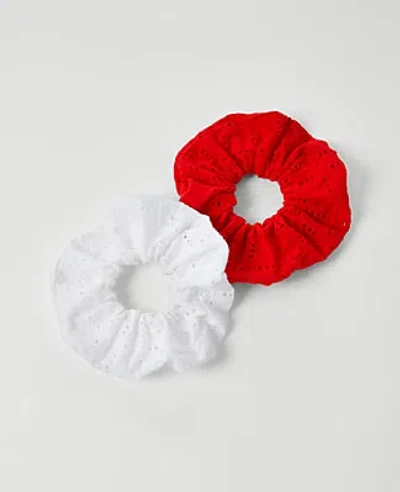Ann Taylor Eyelet Scrunchie Set In Multi