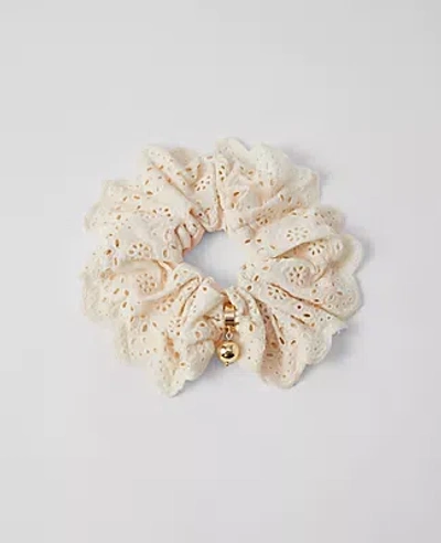 Ann Taylor Eyelet Scrunchie In Winter White