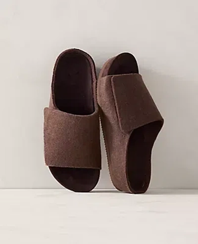 Ann Taylor Felted Molded Footbed