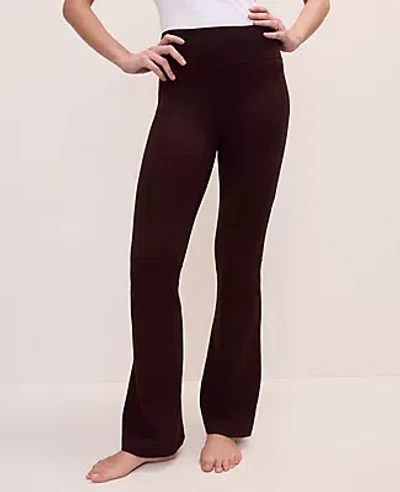 Ann Taylor Flare Legging In Brown